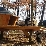 Les De Fontfroide Camping Saint-Antoine (Isere)