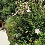 Les De Fontfroide Saint-Antoine (Isere)
