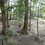 Camping Les De Fontfroide *