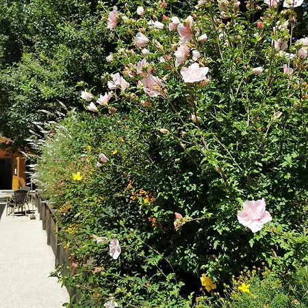 Les De Fontfroide Saint-Antoine (Isere)