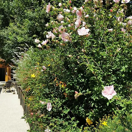 Les De Fontfroide Saint-Antoine (Isere)