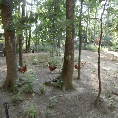 Campingplatz Les De Fontfroide *